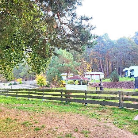 Tiny House Ueckeritz Villa Exterior foto